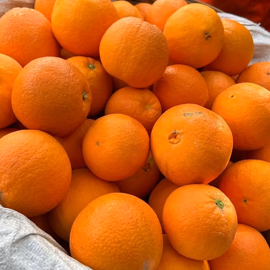 Маленькая сумка, популярный сушеный мандарин, высокое качество