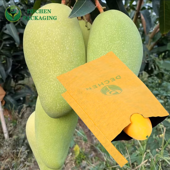 Подгонянные ручки сумки предохранения от плода бумаги виноградины водостойкие