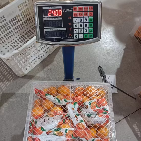 Фабрика высокого качества и горячая распродажа в Китае Свежий мандарин премиум-класса