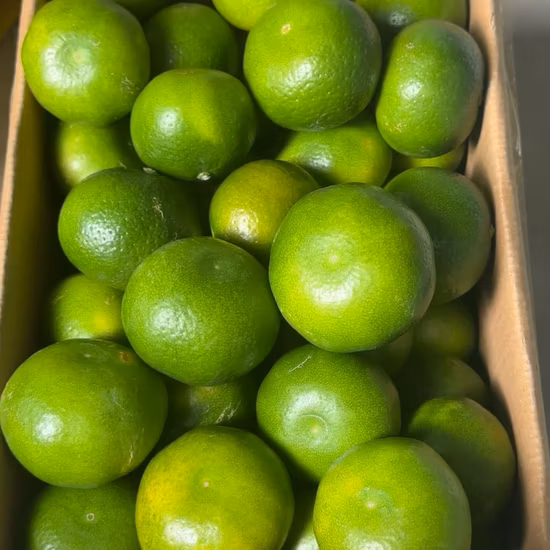 Сухофрукты, полезные фрукты, мандарин, с низким содержанием So2